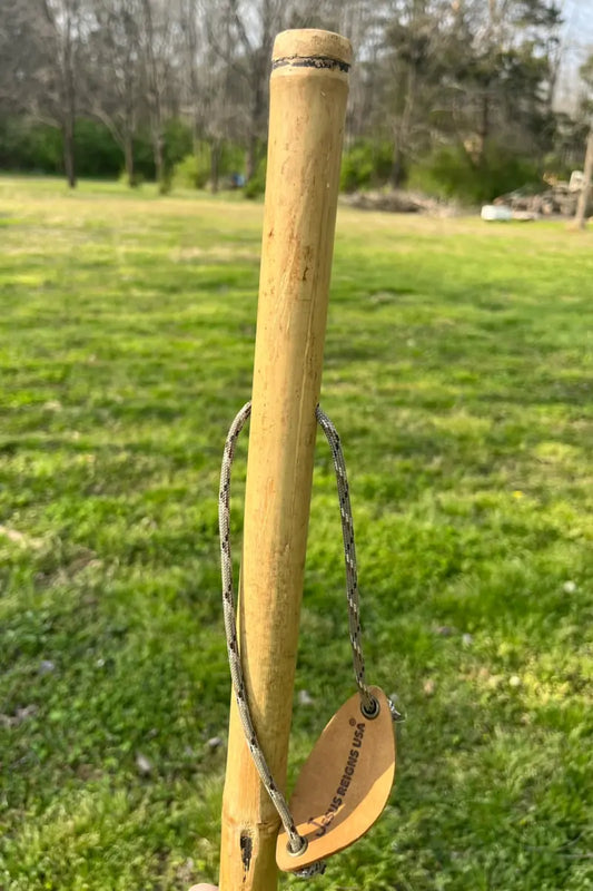 Weathered Iron Bamboo Walking Stick — Ultralight Hiking Staff
