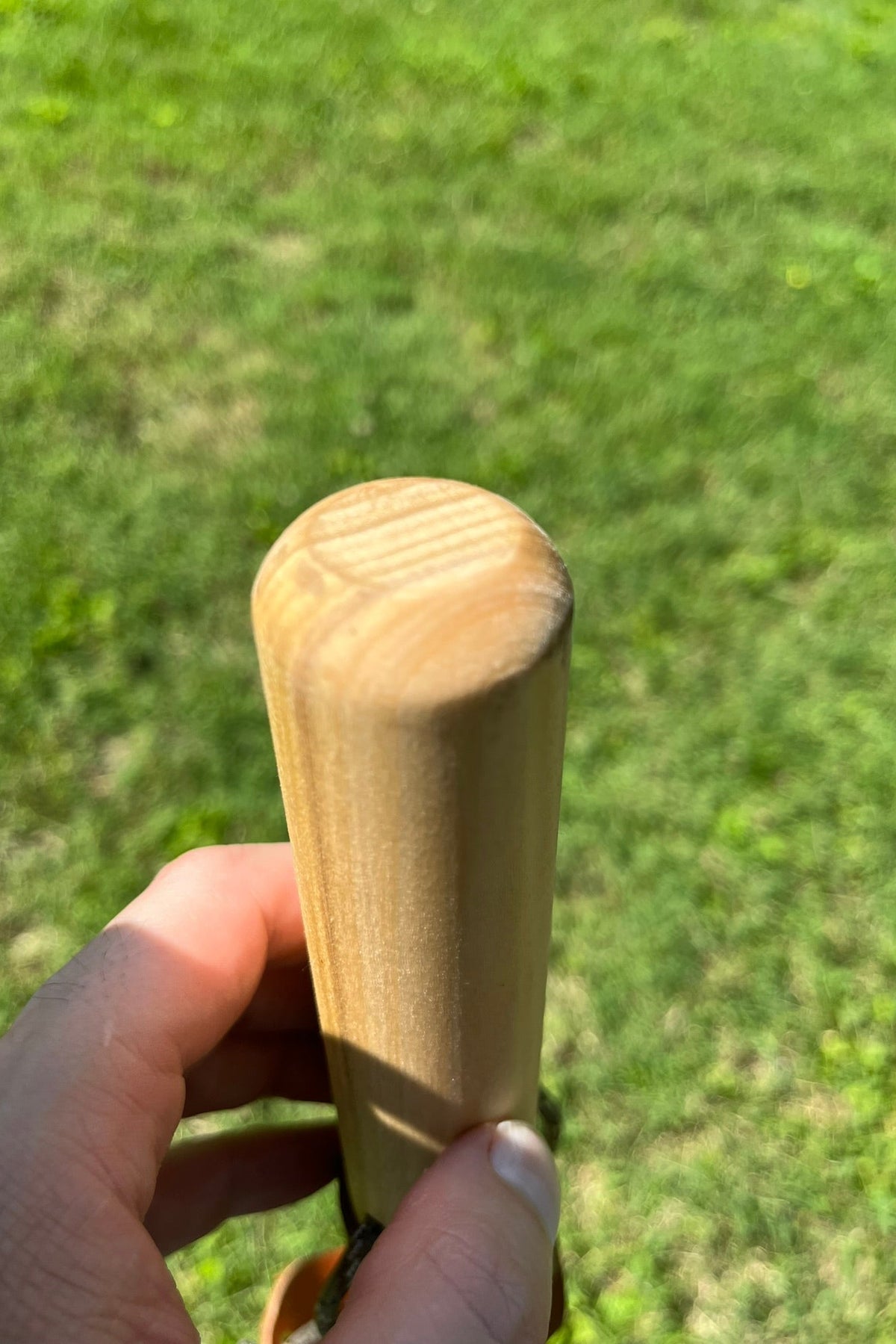 Bear Poplar Walking Stick — Handcrafted Hiking Staff