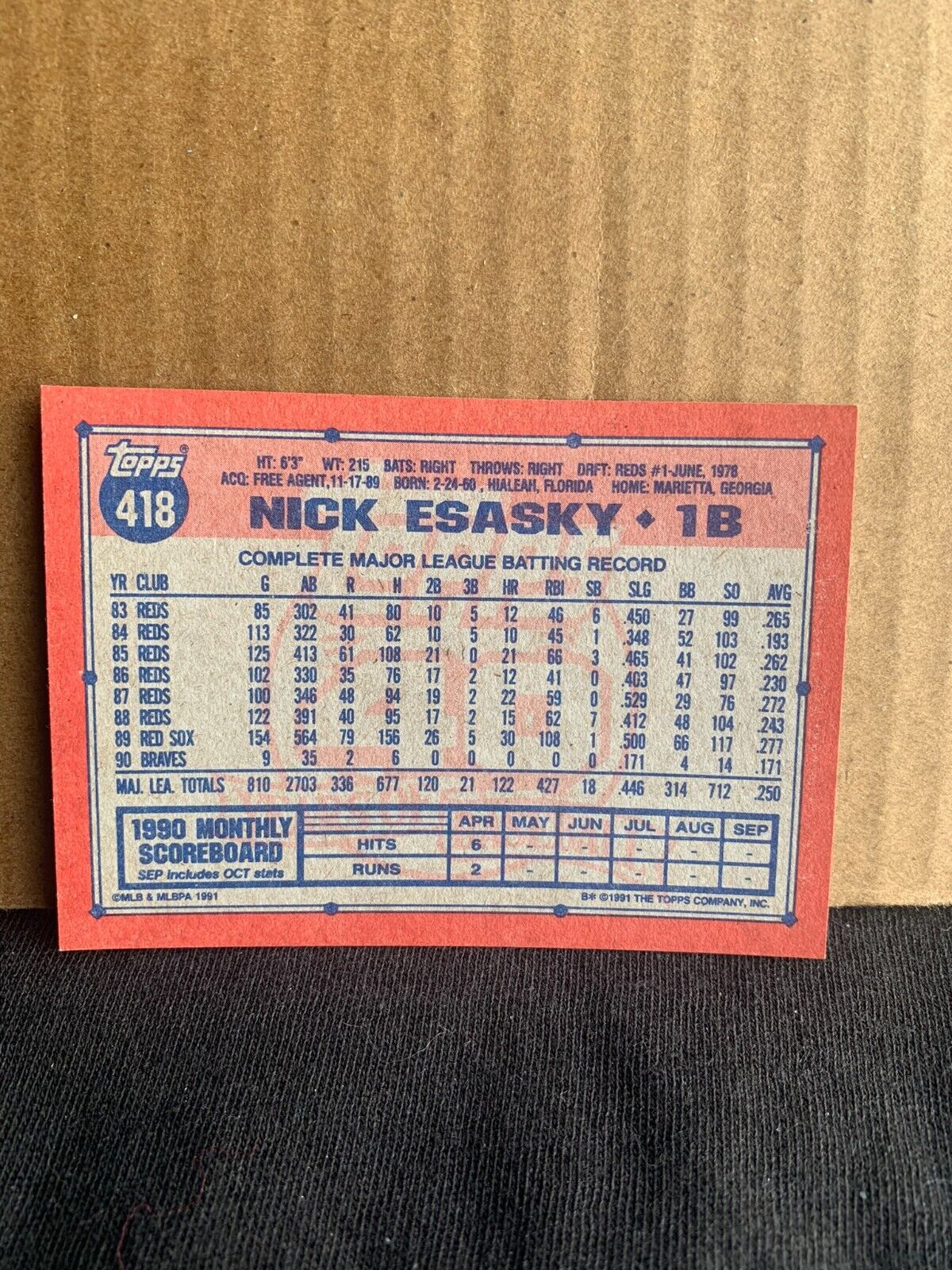1991 Topps Baseball Card Atlanta Braves Nick Esasky