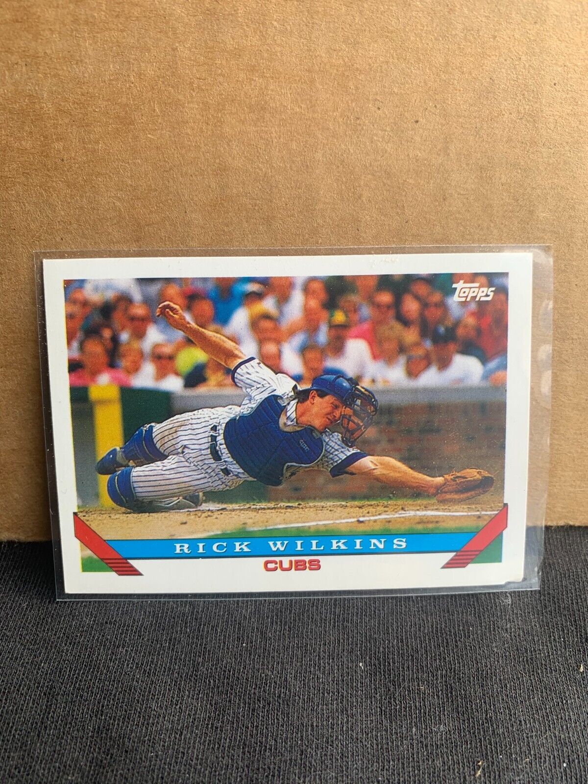 1993 Topps Baseball Card Chicago Cubs Rick Wilkins  