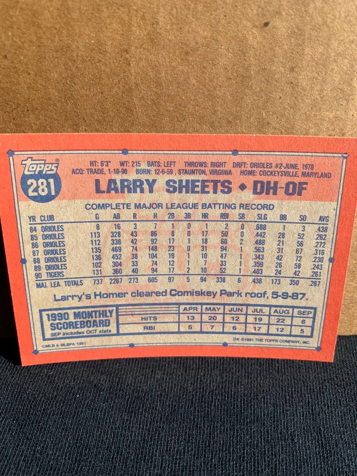1991 Topps Baseball Card Detroit Tigers Larry Sheets