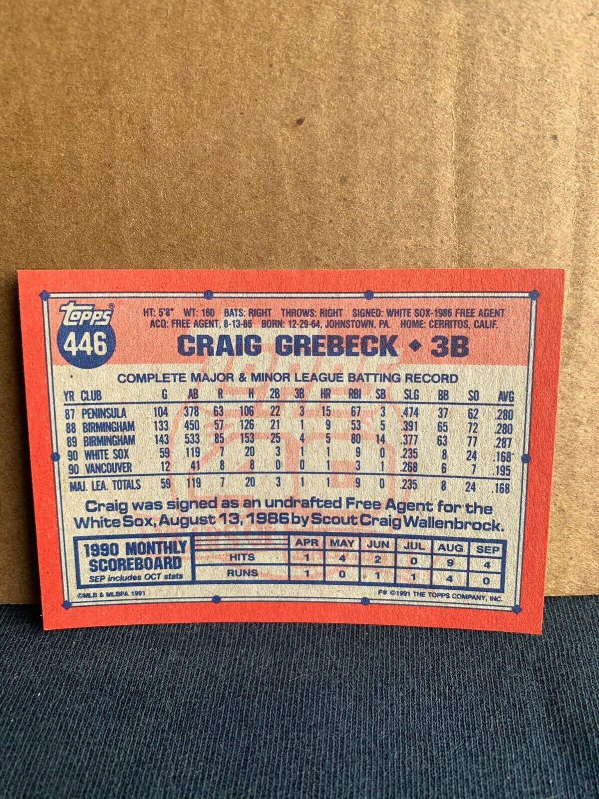 1991 Topps Baseball Card Chicago White Sox Craig Grebeck