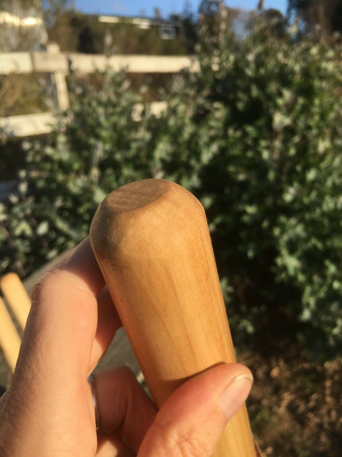 Natural Earth Tones Poplar Hard Wood Walking Stick Hiking Staff Hand Carved Pole