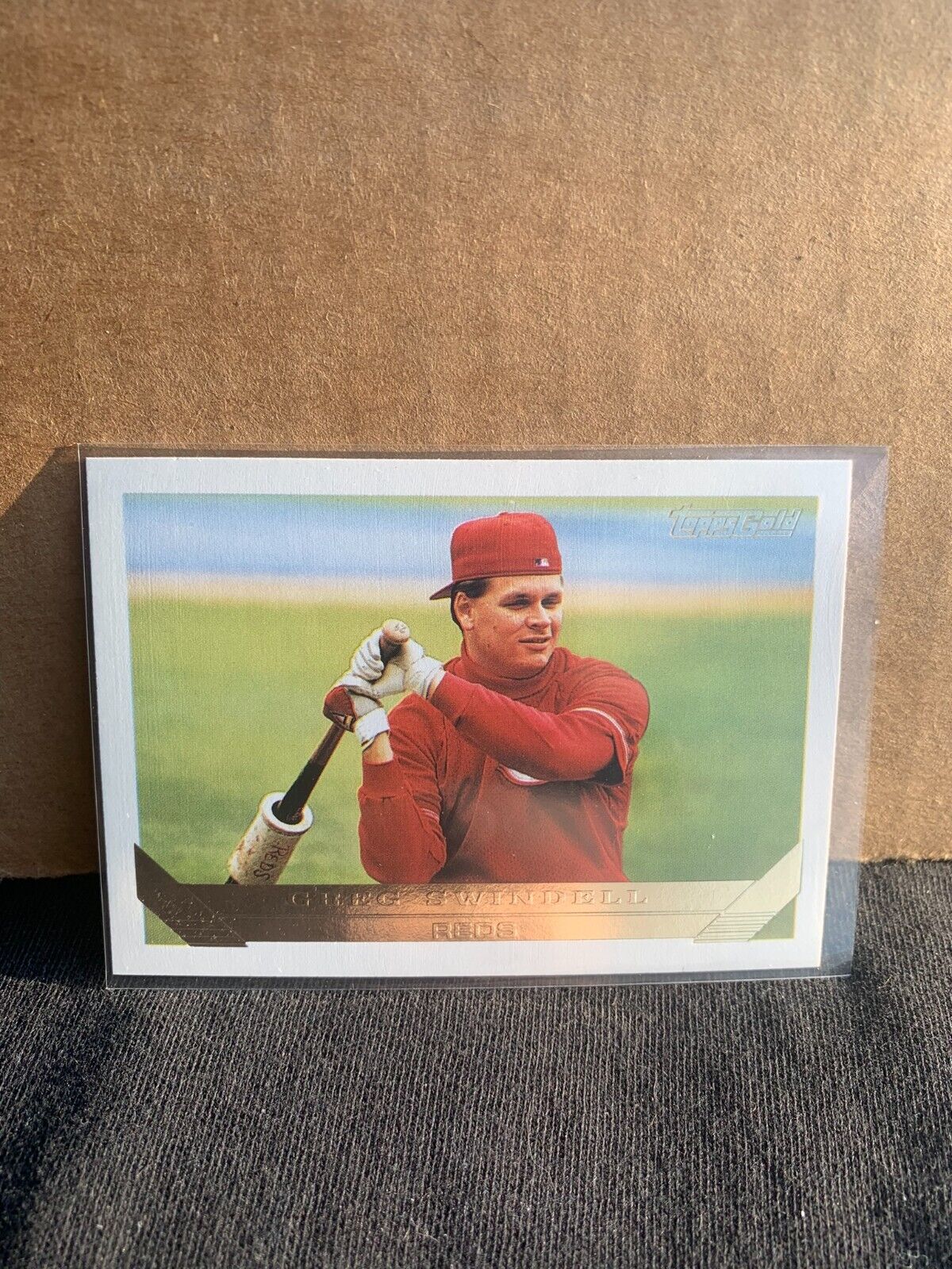 1993 Topps Gold Baseball Card Reds Greg Swindell