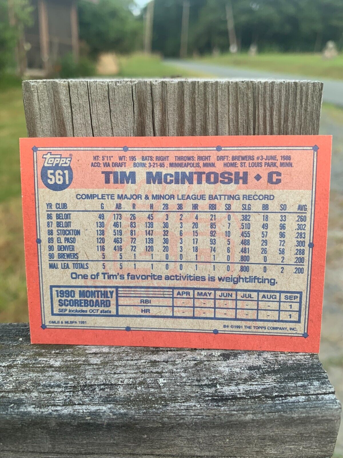 1991 Topps Baseball Card Milwaukee Brewers Future Star Tim McIntosh