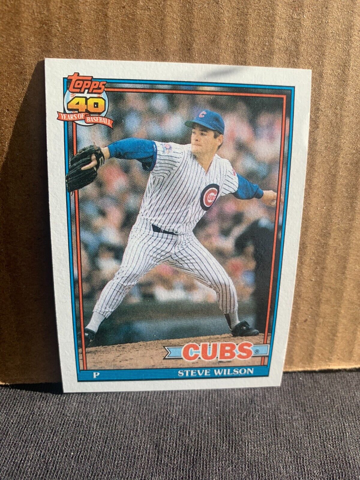 1991 Topps Baseball Card Chicago Cubs Steve Wilson