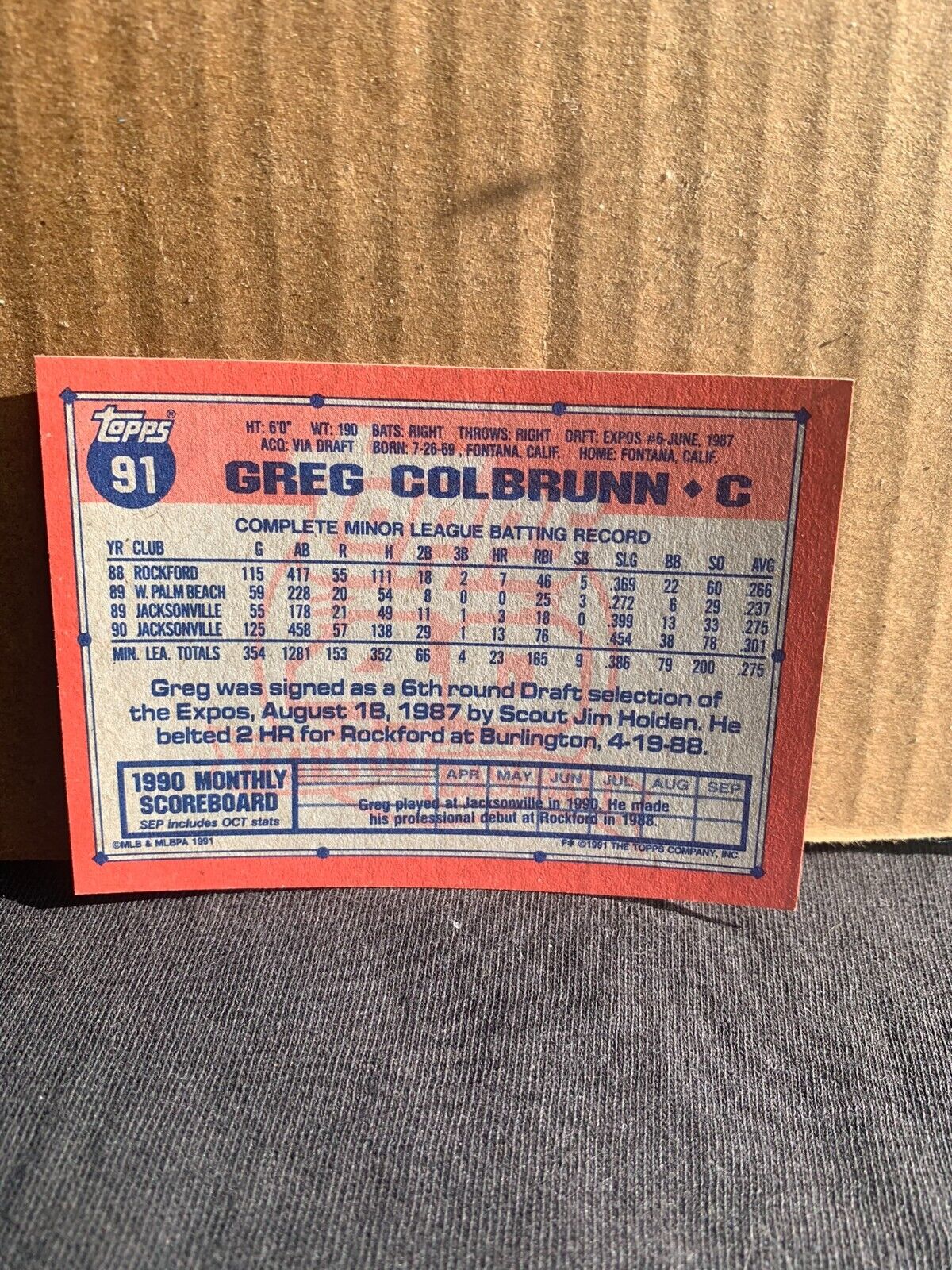 1991 Topps Baseball Card Montreal Expos Greg Colbrunn Future Star