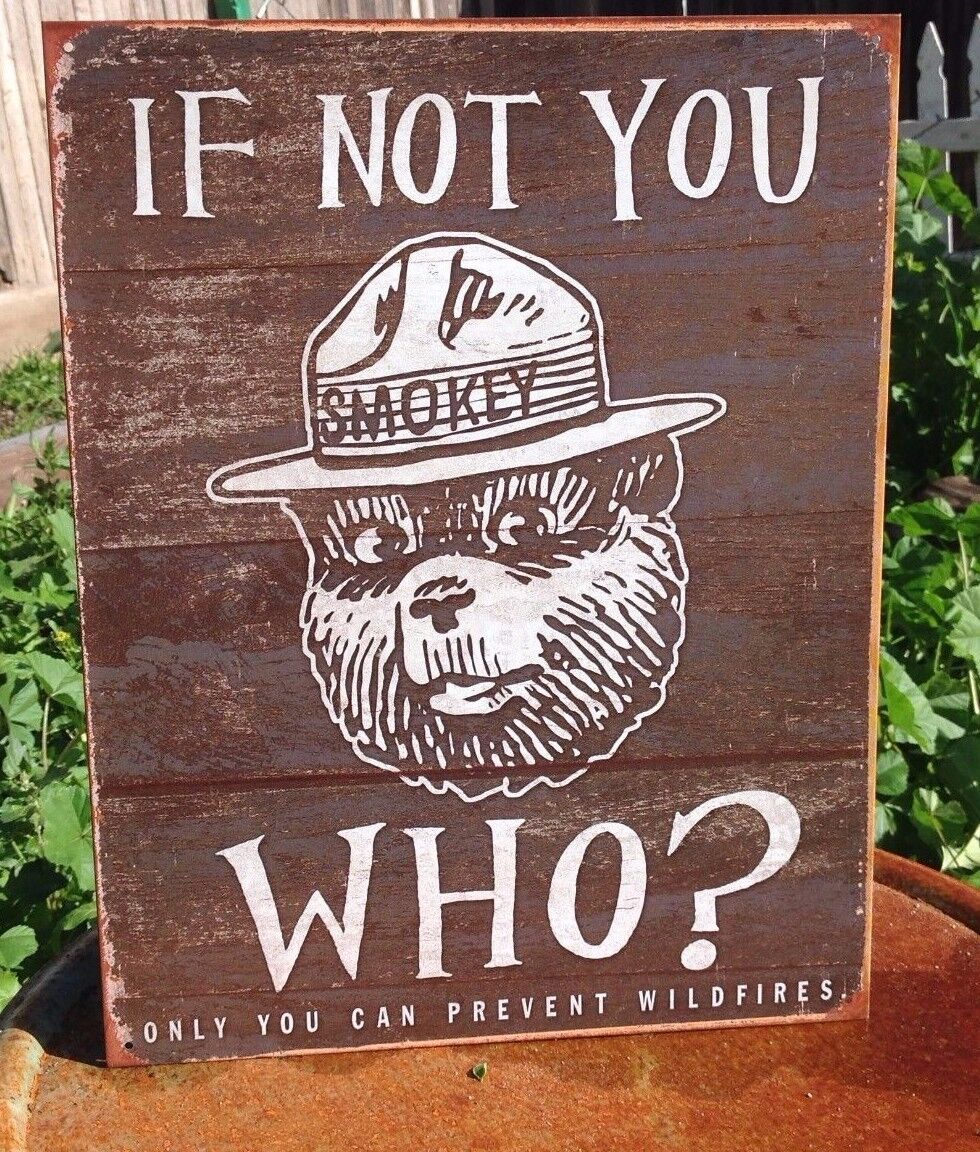 Smokey the Bear If Not You Who Can Prevent Wildfires Tin Metal Sign Vintage 