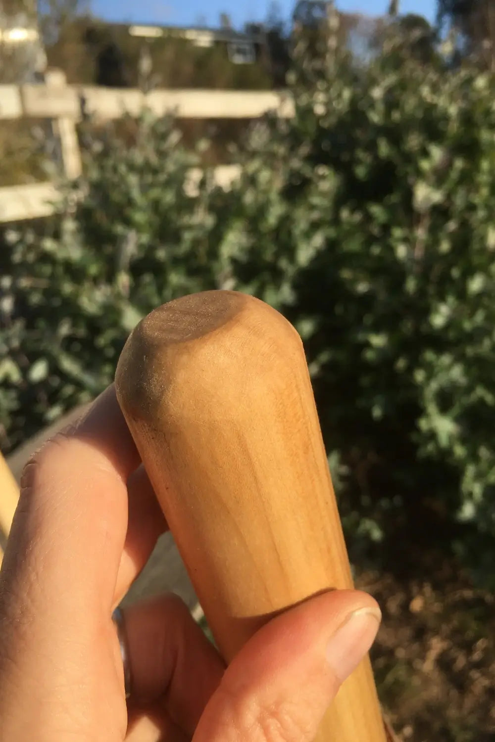 Tapered hardwood  handle on natural earth tones poplar walking stick — handcrafted in USA