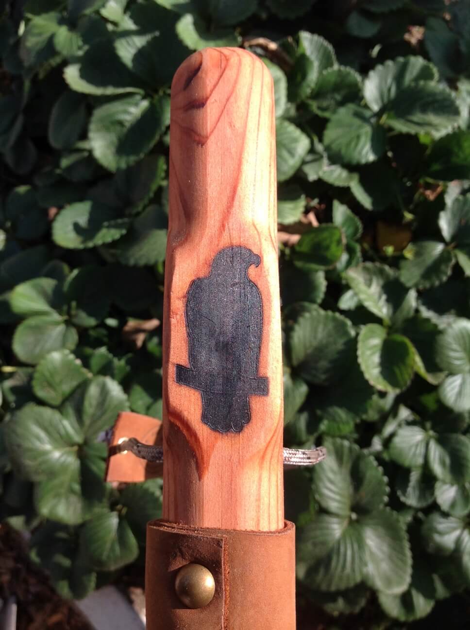 Eagle Redwood Walking Stick Wood Hiking Staff Hand Carved